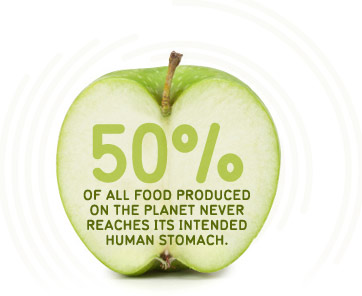 50% of all food produced on the planet never reaches its intended human stomach